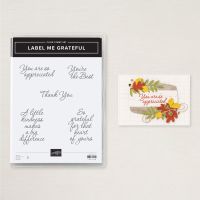 Label Me Grateful Cling Stamp Set (English) [ 166108 ]