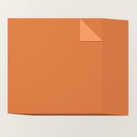 Pumpkin 12" X 12" Two Tone Cardstock [ 166365 ]