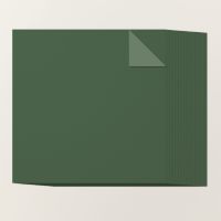 Pine 12" X 12" Two Tone Cardstock [ 166367 ]