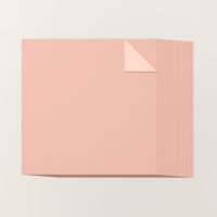Peach 12" X 12" Two Tone Cardstock [ 166421 ]