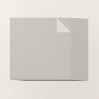 Mink 12" X 12" Two Tone Cardstock