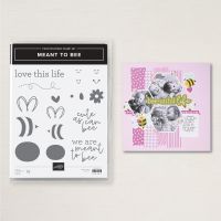 Meant To Bee Photopolymer Stamp Set (English)