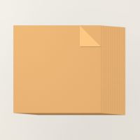 Peach Pie 12" X 12" (30.5 X 30.5 Cm) Two Tone Cardstock [ 166657 ]