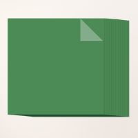 Garden Green 12" X 12" (30.5 X 30.5 Cm) Two Tone Cardstock