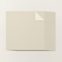 Basic Beige 12" X 12" (30.5 X 30.5 Cm) Two Tone Cardstock [ 166681 ]