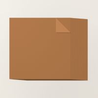 Pecan Pie 12" X 12" (30.5 X 30.5 Cm) Two Tone Cardstock [ 166688 ]