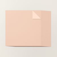 Petal Pink 12" X 12" (30.5 X 30.5 Cm) Two Tone Cardstock [ 166689 ]