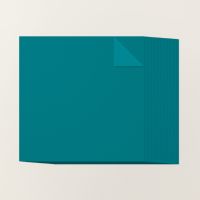 Pretty Peacock 12" X 12" (30.5 X 30.5 Cm) Two Tone Cardstock [ 166694 ]