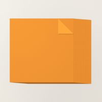 Pumpkin Pie 12" X 12" (30.5 X 30.5 Cm) Two Tone Cardstock [ 166695 ]