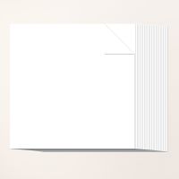 White Willow 12" X 12" (30.5 X 30.5 Cm) Cardstock