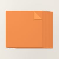 Timid Tiger 12" X 12" (30.5 X 30.5 Cm) Two Tone Cardstock [ 166706 ]