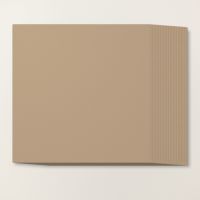 Crumb Cake 12" X 12" (30.5 X 30.5 Cm) Cardstock [ 166787 ]