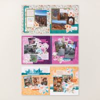 Lovely Florals Scrapbooking Workshop Kit (English) [ 166796 ]