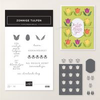 Zonnige Tulpen Productpakket (Nederlands) [ 166869 ]