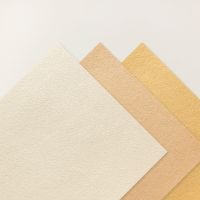 Natural Hues 12" X 12" (30.5 X 30.5 Cm) Textured Specialty Paper [ 166929 ]