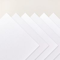 Whispers Of Texture 12" X 12" (30.5 X 30.5 Cm) Specialty Paper [ 167106 ]