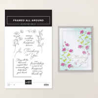 Framed All Around Photopolymer Stamp Set (English) [ 167221 ]