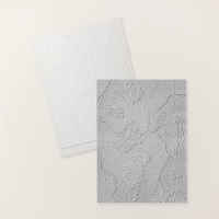 Hundred Acre Woods 3 D Embossing Folder [ 167631 ]