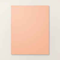 Crisp Cantaloupe 8 1/2" X 11" Cardstock [ 167693 ]