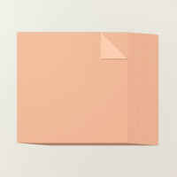 Crisp Cantaloupe 12" X 12" (30.5 X 30.5 Cm) Two Tone Cardstock [ 167699 ]