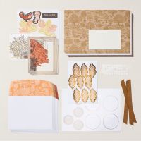 Fall For Toile Paper Pumpkin Refill [ 167842 ]