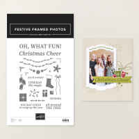 Festive Framed Photos Photopolymer Stamp Set (English) [ 168296 ]