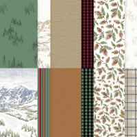 Alpine Winter 12" X 12" (30.5 X 30.5 Cm) Designer Series Paper [ 168304 ]