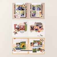 Autumn Fields Scrapbooking Workshop Kit (English) [ 168321 ]