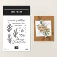 Noel Tidings Photopolymer Stamp Set (English) [ 168449 ]