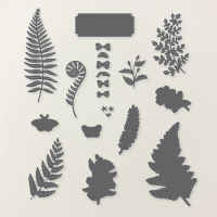 Fern & Flora Dies [ 168991 ]